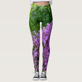Leggings Elegantes flores moradas lilas moradas