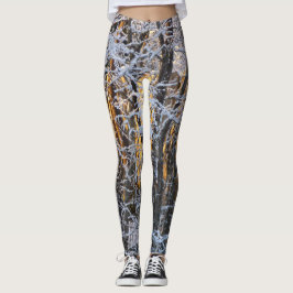 Leggings Escena del invierno
