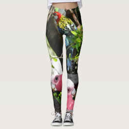 Leggings Fauna australiana