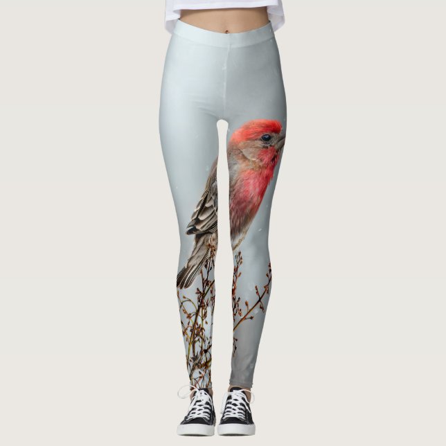 Leggings Finca de casa en nieve - Fotografía original (Anverso)