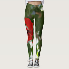 Leggings fotografiqqq único