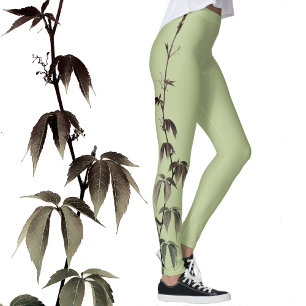 Leggings Fotos de hiedra verde caliza verde