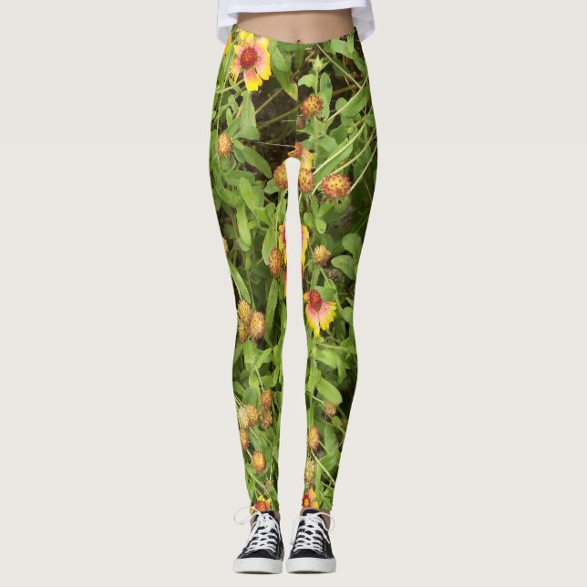 Leggings Gaillardia a veces llamada Flores de manta (Anverso)