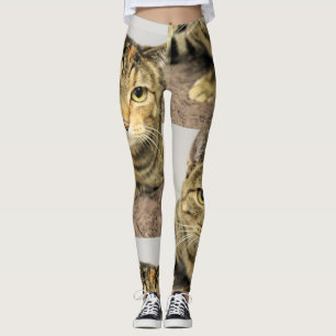 Leggings Gato