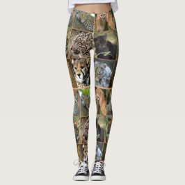 LEGGINGS GATOS GRANDES