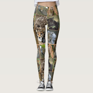LEGGINGS GATOS GRANDES