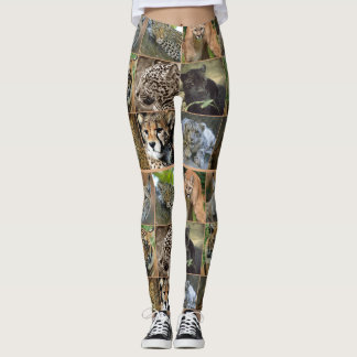 LEGGINGS GATOS GRANDES