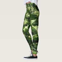 Leggings Hermosa Ilusión......