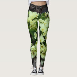 Leggings Hermosa Primula vulgaris Primroses en hojas secas
