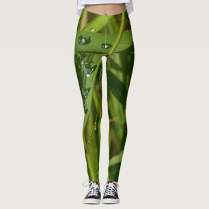 Leggings hierba con el rocío