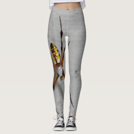 Leggings Imagen de la araña real en las piernas