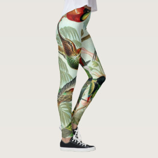 Leggings Impresión de arte Ernst Haeckel: Trochilidae