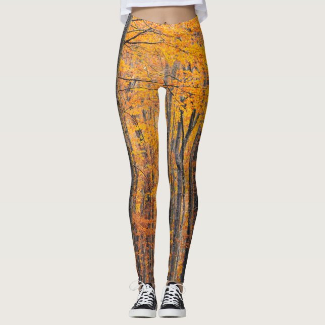 Leggings Impresionante bosque otoñal de oro (Anverso)
