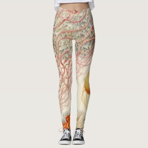 Leggings Jellyfish - Ernst Haeckel