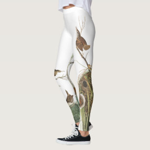 Leggings Jerarquías de los pájaros del Wren de Audubon po