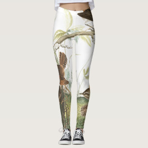 Leggings Jerarquías de los pájaros del Wren de Audubon po
