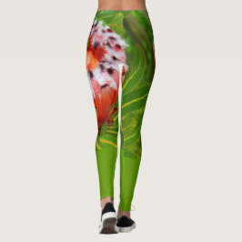 LEGGINGS KARIKARI BLOOM