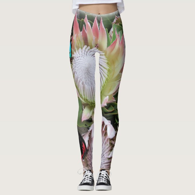 Leggings King Protea desde Sudáfrica (Anverso)