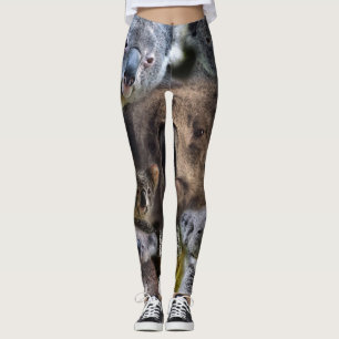 Leggings Koalas felices