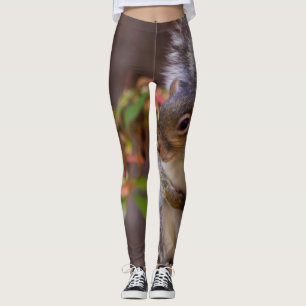 Leggings La ardilla sube con paciencia