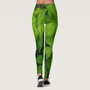 Leggings La belleza de la naturaleza de las viñas verdes