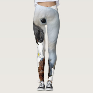 Leggings Lala el Cockatoo con el cono y el Plumeria del