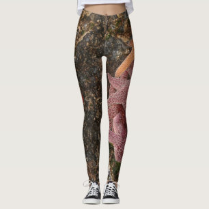 Leggings Las estrellas de mar/las estrellas de mar en cañón