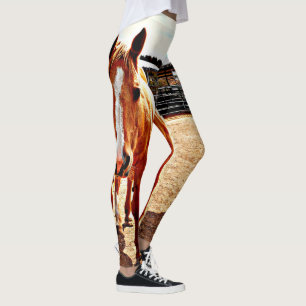 Leggings Las polainas de las mujeres del caballo del