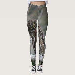 Leggings Lechuza pigmea del norte