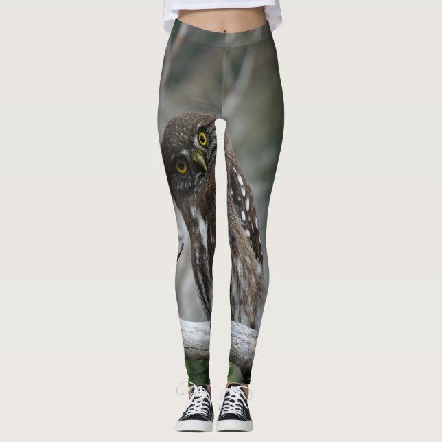 Leggings Lechuza pigmea del norte (Anverso)