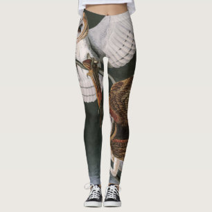 Leggings Lechuzas comunes, los pájaros de América John