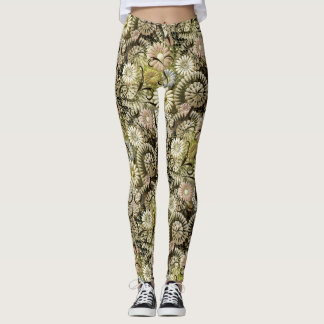 Leggings Leggencias