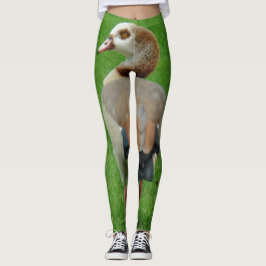 Leggings Leggencias para aves