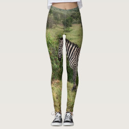 Leggings Leyendas de cebra