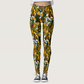 Leggings Leyendas del árbol del limón