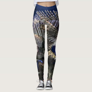 Leggings Lionfish en acuario