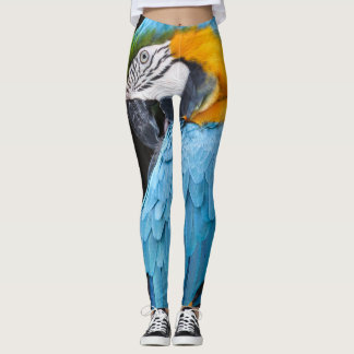 Leggings Macaw azul y amarillo Preening