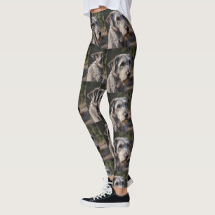 Leggings "majestad no impresionada: la mirada estoica de lo