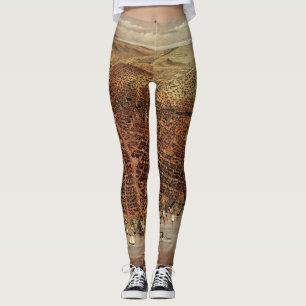 Leggings Mapa aéreo antiguo de San Francisco, California