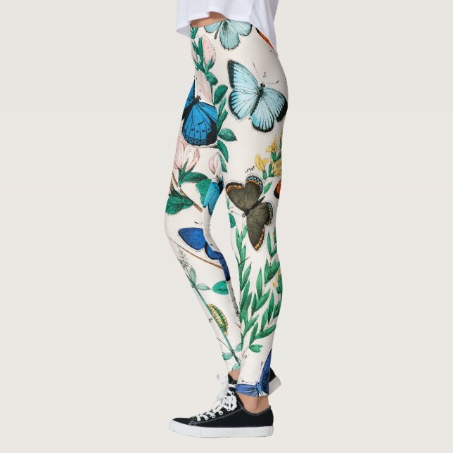 Leggings Mariposas, orugas de William Forsell Kirby (Izquierda)