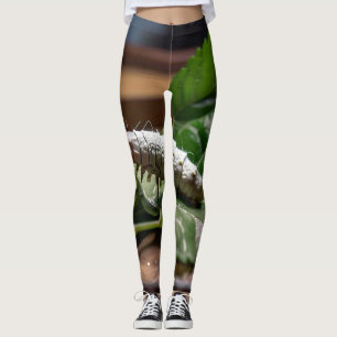 LEGGINGS MARVELES DE FIBRAS NATURALES: EL VIAJE DE LAS PALA