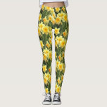 Leggings Narcisos amarillos de la primavera<br><div class="desc">Estas polainas elegantes ofrecen una foto preciosa de los narcisos amarillos de la primavera en la plena floración.  ¡Adición perfecta a su guardarropa de la primavera! Diseñado por el ©Tim renombrado Coffey del artista del mundo.</div>