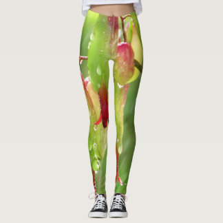 Leggings Nature splash