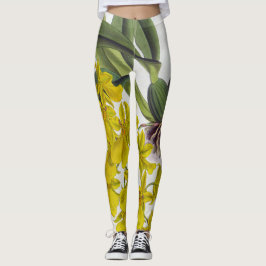 Leggings Oncidium Concolor Vintage Lindenia Orquídea
