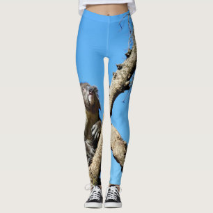 Leggings Oso Koala Tiempo Para Reflexionar Sobre La Vida, 
