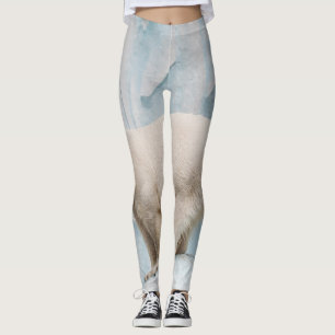 Leggings Oso Polar: Vistazo al Zoo Habitat