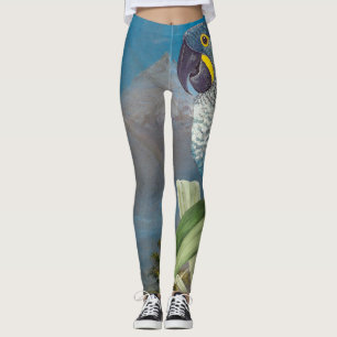 Leggings Pájaro del loro del Macaw del jacinto por todo la