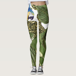 Leggings Pájaro del loro del Macaw por todo las polainas d