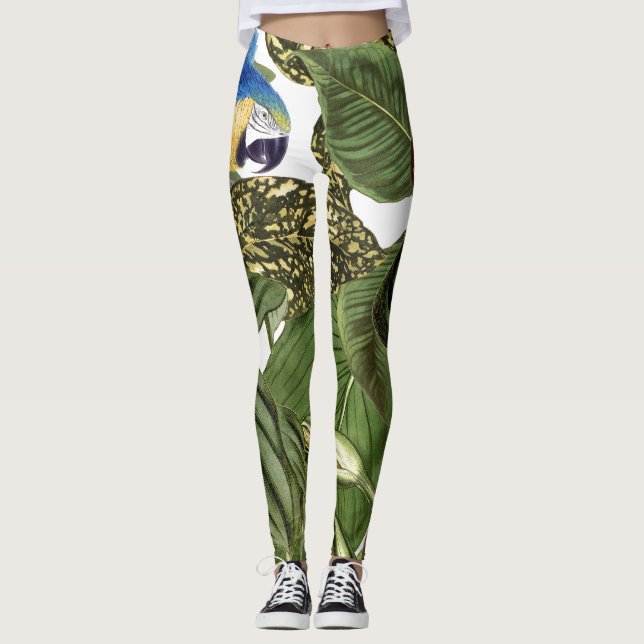 Leggings Pájaro del loro del Macaw por todo las polainas de (Anverso)