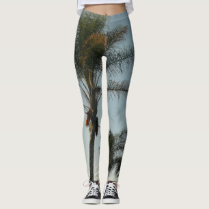 Leggings palmeras de dátiles tropicales contra el cielo azu